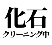 857698891