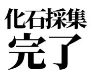 857698895