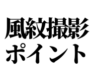 857698953