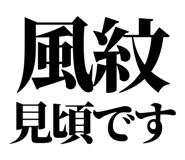 857698955