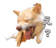 857700730