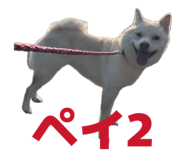 857700734