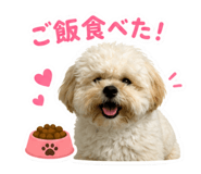 857701393