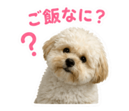857701397
