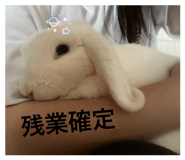 857701594