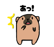 857701663