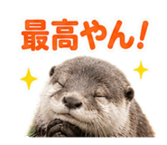 857701942