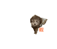 857702067