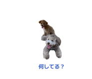 857702069