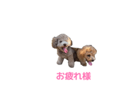 857702070