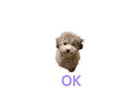 857702071