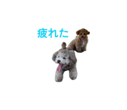 857702072
