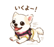 857702206