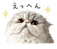 857702385