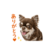 857702491