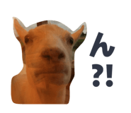 857702803