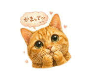 857703385