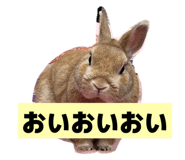 857703524