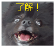 857704121