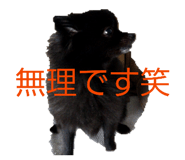857704122