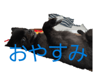 857704124