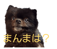 857704128