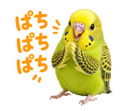 857704182
