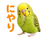 857704184