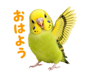 857704185
