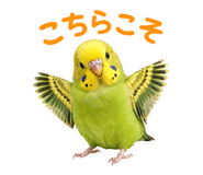 857704193