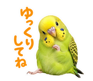 857704210