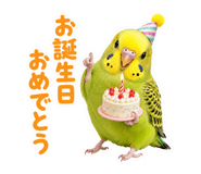 857704214