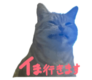 857704219