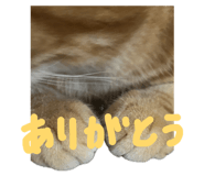 857704222