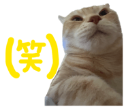 857704237