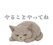 857704562
