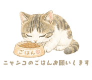857704567