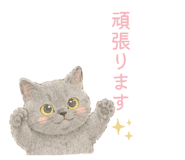 857704571