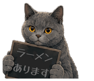 857704584