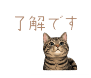 857704598