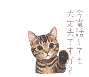 857704599