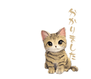 857704600