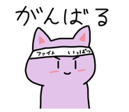 857704799
