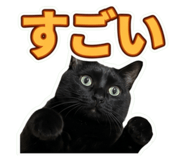 857705343