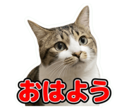 857705346