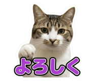 857705347