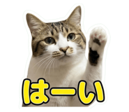 857705350