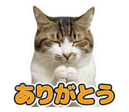 857705352