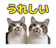 857705360