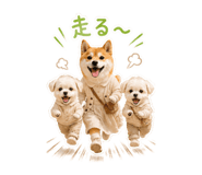 857705493